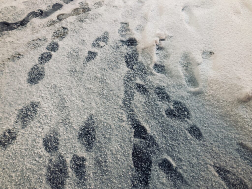 雪道